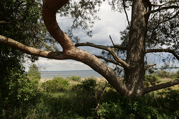 View to the Mueritz Lake