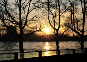 Sunlight in the Rhine