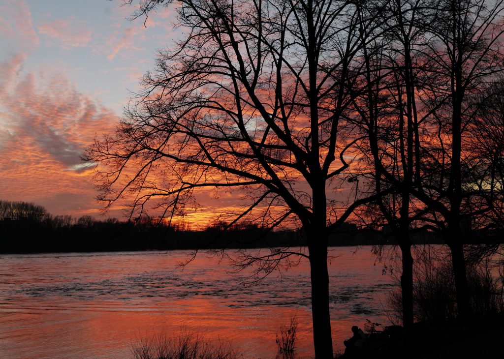 Red Rhine and Heaven