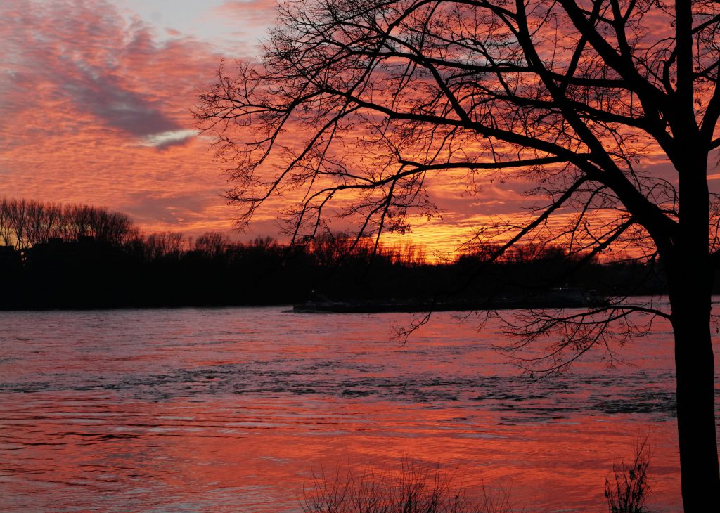 Rhine Red Lights Rhine Red Lights
