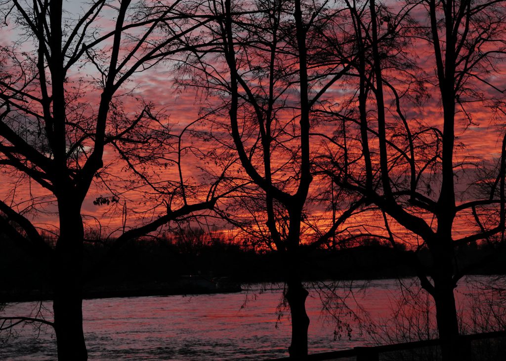 The Rhine is Burning