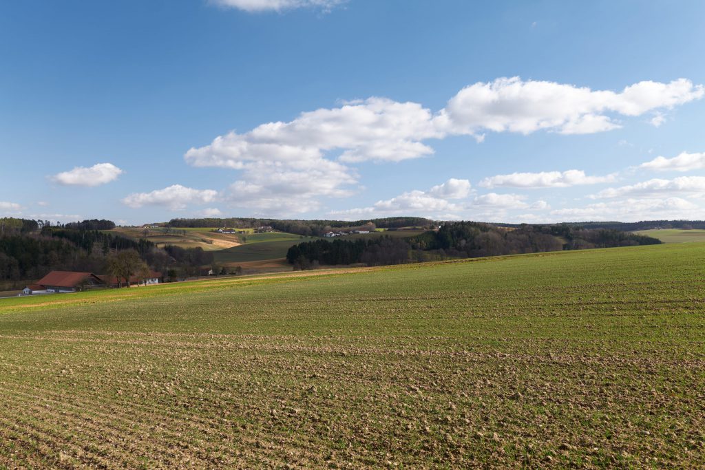 View over the Hills