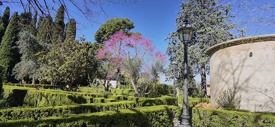 Park Area of Valldemossa