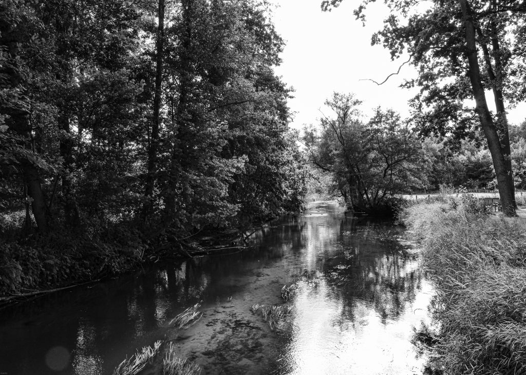 Müden View to the Örtze BW