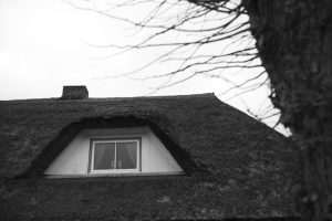 Zingst Thatched Roof