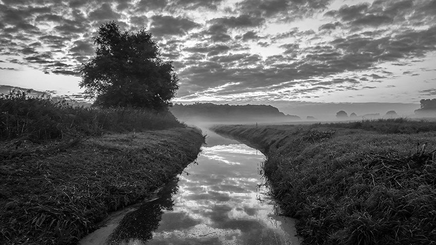 Fincken landscape in the morning