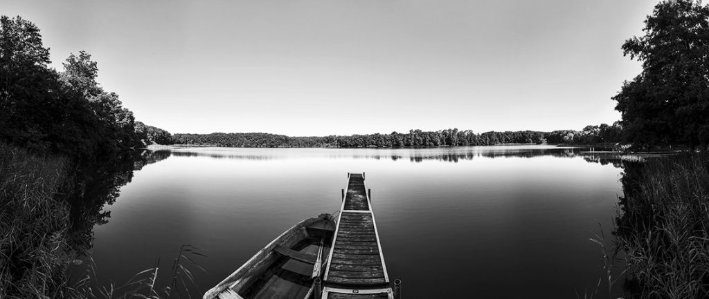 Fincken the Lake Fincken the Lake