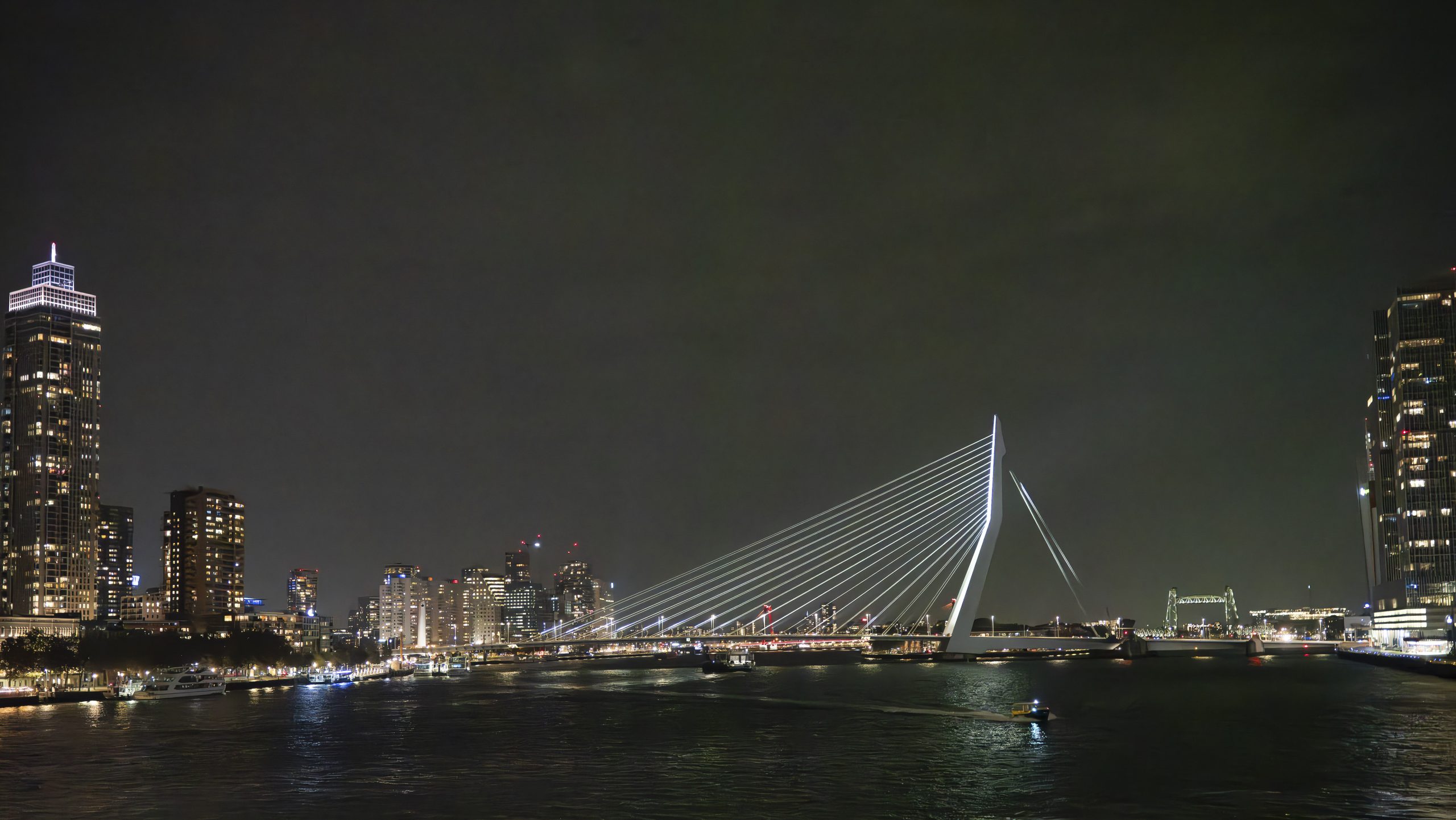 Antwerpen Erasmus Bridge at Night II