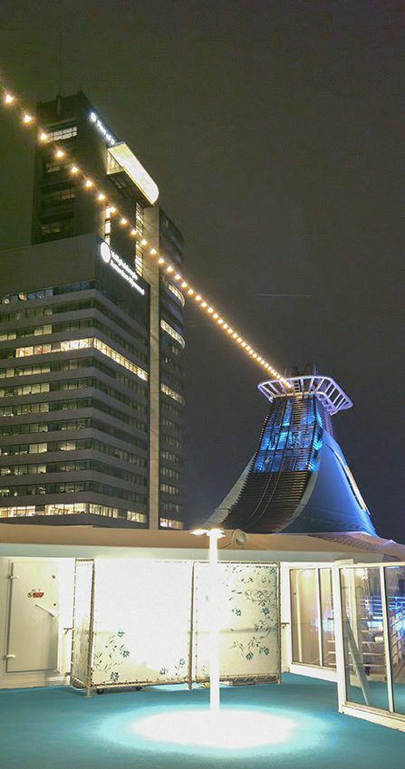 Rotterdam Stern of the Artania by Night