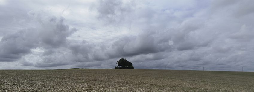 Landscape near Stonehenge