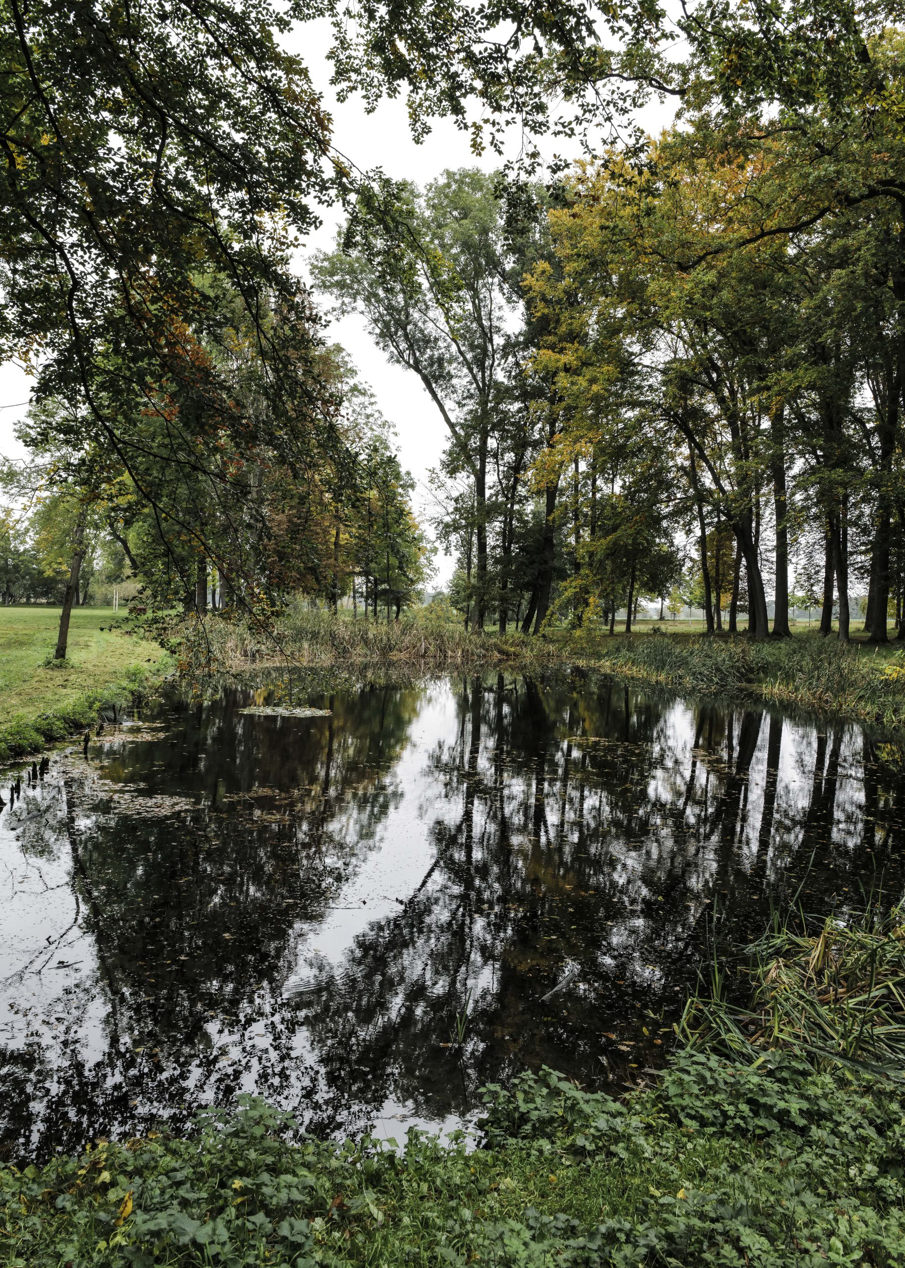Pond in the Park of Ludorf