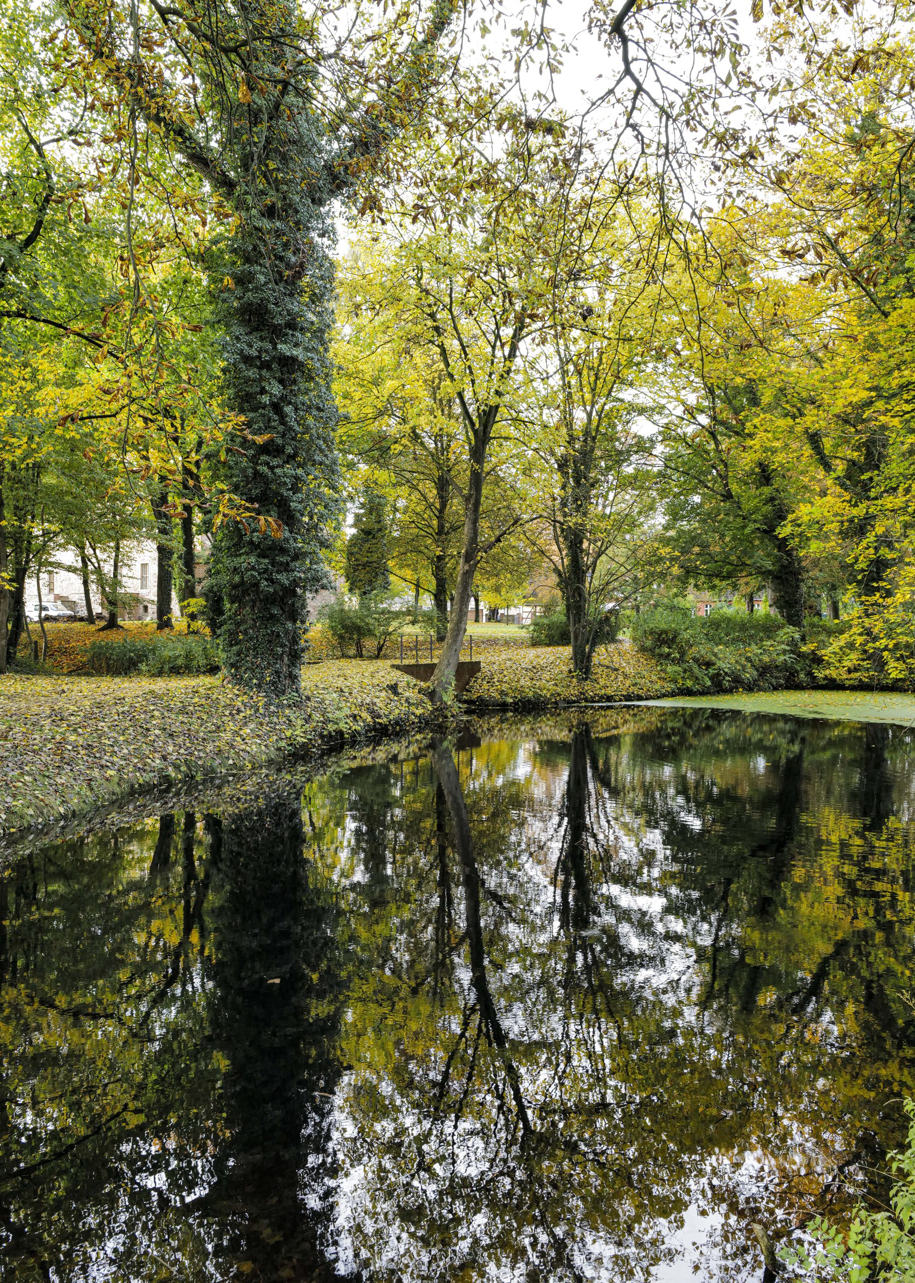 Freyenstein Pond in the palace ground