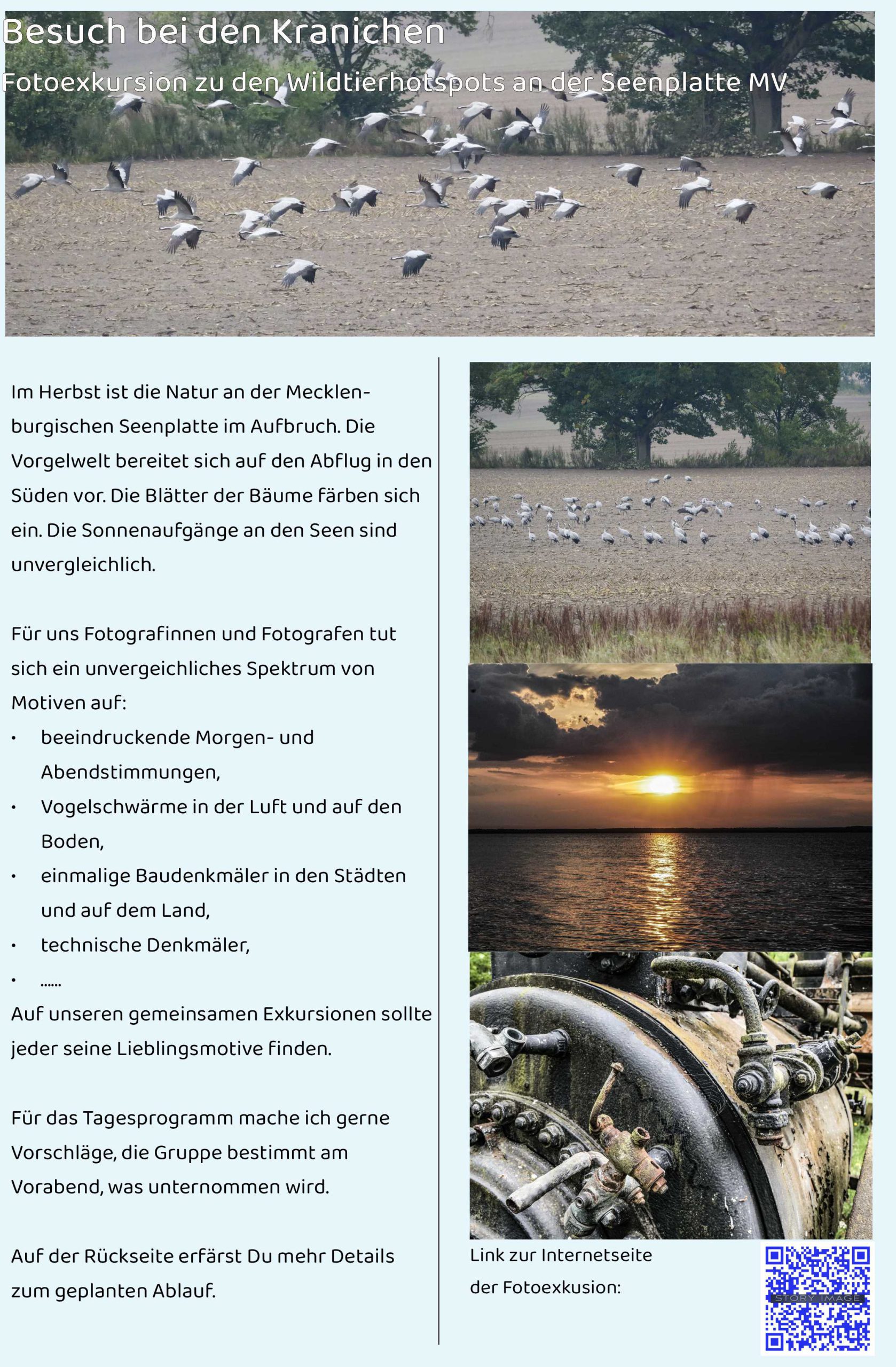 Besuch_Kraniche_1S_J
