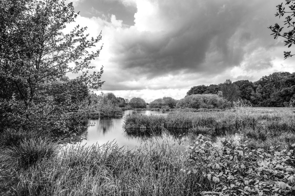 Feuchtgebiet an der Seenplatte MV